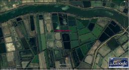 gallery/own farm-chinnapuram