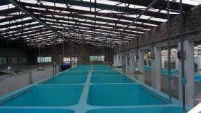 gallery/c9fffcaa39253527c6bc66bb9c023d5e_290x170