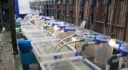 gallery/8270af45aa2df9c0cdfbbfb24b121716_210x120