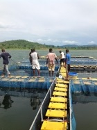 gallery/dfc6c03fc72d9d25b5573dcee42a7126_140x190