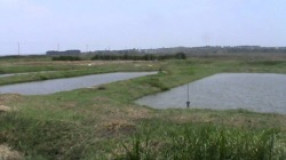 gallery/a43683d33b40f413228d54e3c6ed4a2f_250x150