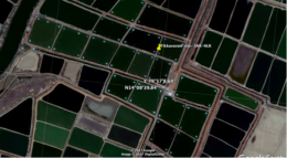 gallery/vannamei farm creek fed