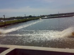 gallery/df2cae8adb3456248d7319a67ef1a10d_210x160